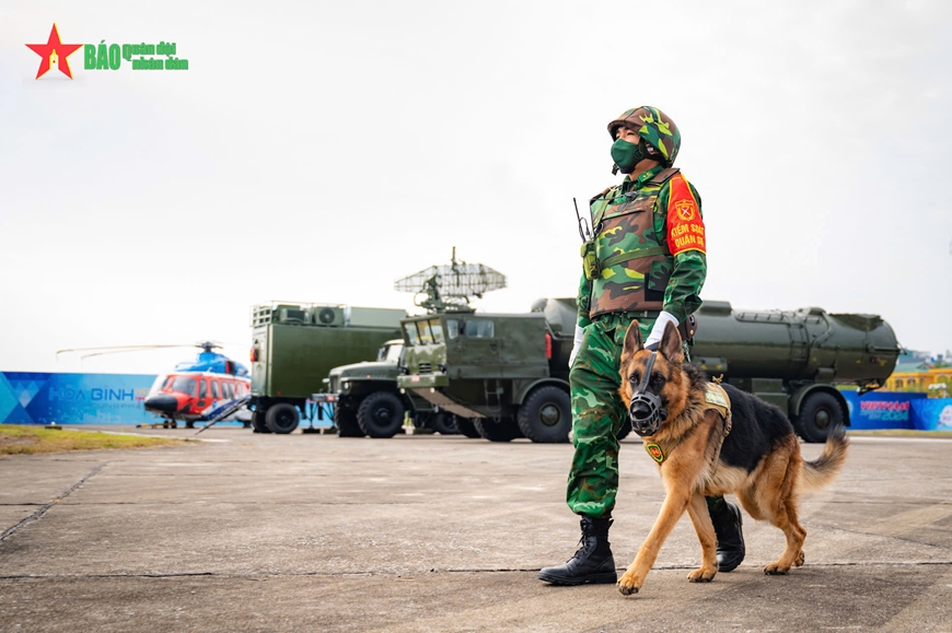 Triển lãm Quốc phòng quốc tế Việt Nam 2024: Sứ mệnh đặc biệt của những chiến binh bốn chân